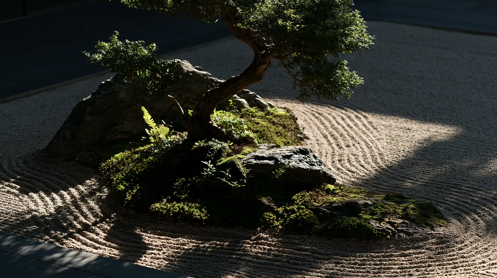 A raked zen garden with moss, stones, and a bonsai tree in low sun